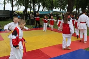 Звёздочки Сэйдокай