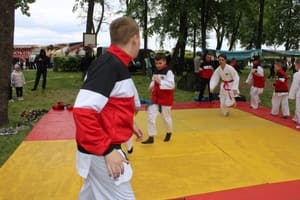 Звёздочки Сэйдокай