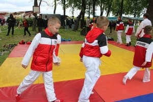 Звёздочки Сэйдокай
