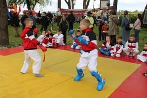 Звёздочки Сэйдокай
