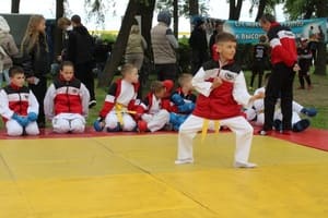 Звёздочки Сэйдокай