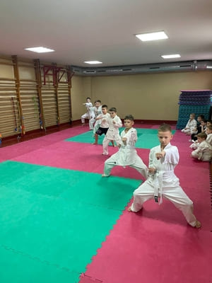 Аттестационный экзамен Сэйдокай