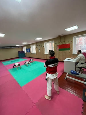 Аттестационный экзамен Сэйдокай