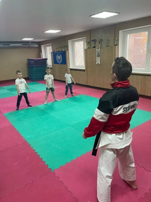 Аттестационный экзамен Сэйдокай