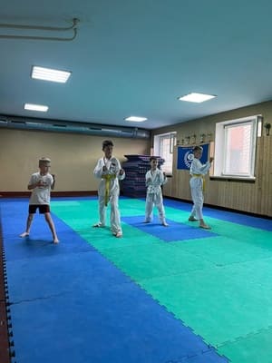 Звёздочки Сэйдокай