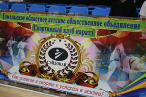 Звёздочки Сэйдокай