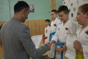 Кубок Полесья