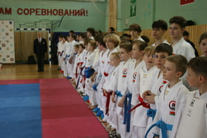 Кубок Полесья