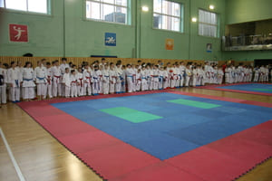 Кубок Полесья
