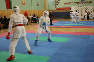 Кубок Полесья