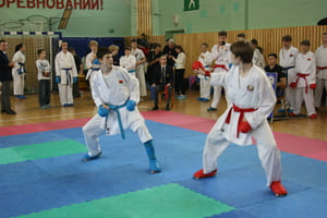 Кубок Полесья