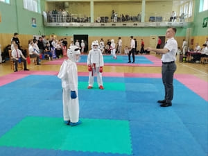 Кубок Полесья