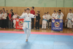 Кубок Полесья