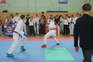 Кубок Полесья