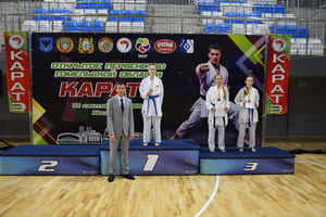 Открытое первенство Гомельской области по каратэ