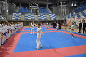 Открытое первенство Гомельской области по каратэ