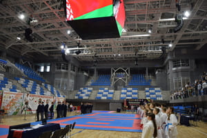 Открытое первенство Гомельской области по каратэ