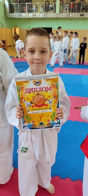 Звёздочки Сэйдокай