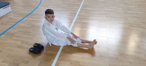 Звёздочки Сэйдокай 2026