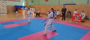 Звёздочки Сэйдокай 2026