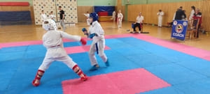 Звёздочки Сэйдокай 2026