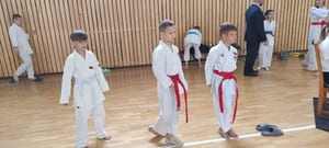 Звёздочки Сэйдокай 2026