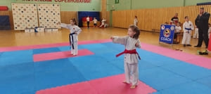 Звёздочки Сэйдокай 2026