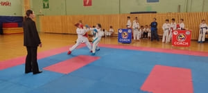 Звёздочки Сэйдокай 2026