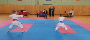 Звёздочки Сэйдокай 2026