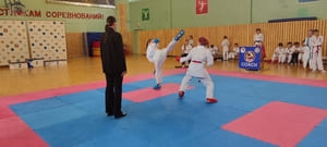 Звёздочки Сэйдокай 2026