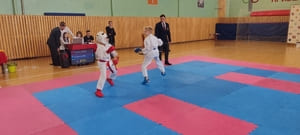 Звёздочки Сэйдокай 2026