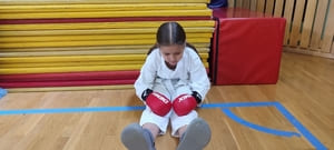 Звёздочки Сэйдокай 2026