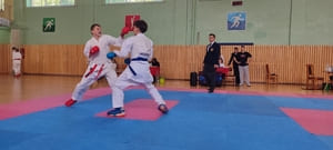 Звёздочки Сэйдокай 2026