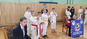 Звёздочки Сэйдокай 2026