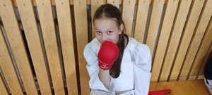 Звёздочки Сэйдокай 2026