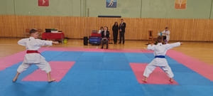Звёздочки Сэйдокай 2026
