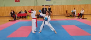 Звёздочки Сэйдокай 2026