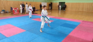 Звёздочки Сэйдокай 2026
