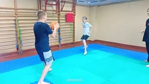 Звёздочки Сэйдокай