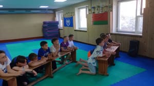 Звёздочки Сэйдокай