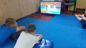 Звёздочки Сэйдокай
