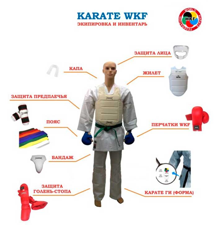 Что нужно для карате. Экипировка каратэ WKF. Экипировка каратиста WKF. Экипировка для каратэ EKF. WKF Karate экипировка.